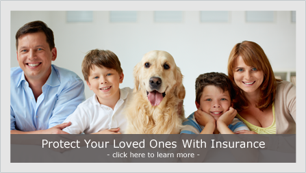 Protect your loved ones with insurance - learn more